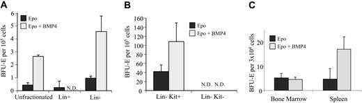 Figure 7. Identification of the subpopulation of progenitor cells from untreated spleen that responds to BMP4. (A) Unfractionated, Lin+ and Lin– cells from untreated wild-type spleen were plated in 3 U/mL Epo without (▪) or with 15 ng/mL BMP4 (▦) and the induction of stress BFU-Es was analyzed. (B) Kit+Lin– and Kit–Lin– cells from untreated wild-type spleen were plated in 3 U/mL Epo without (▪) or with 15 ng/mL BMP4 (▦) and the induction of stress BFU-Es was analyzed. (C) MEPs (Lin–Sca1-IL-7Rα–Kit+CD34-FcγRlow) isolated from bone marrow and spleen of wild-type mice were plated in 3 U/mL Epo without (▪) or with 15 ng/mL BMP4 (▦) and the induction of stress BFU-Es was analyzed. N.D. indicates none detected. Error bars represent SEM.