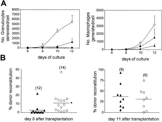 Figure 4. Accelerated myeloid reconstitution on transplantation of LSKCD34+flt3– ST-HSCs. (A) Number of granulocytes (left) and macrophages (right) generated in vitro per initiating LSKCD34–flt3– (▴), LSKCD34+flt3– (○), or LSKCD34+flt3+ (•) cell over time. Data are from 3 experiments. (B) In vivo competitive reconstituting ability of LSKCD34–flt3– LT-HSCs and LSKCD34+flt3– ST-HSCs at day 8 (left) and 11 (right) following transplantation of 500 cells, in competition with 1 × 105 total BM cells. Data are from 8 to 14 mice from 2 experiments, as indicated in parentheses. Horizontal bars indicate mean values. *P < .05.