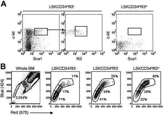 Figure 5. Hierarchical relationship and Hoechst efflux capacities of ST- and LT-HSCs. (A) A total of 1000 CD45.2 LSKCD34+flt3– (left) or LSKCD34+flt3+ (right) cells were injected into lethally irradiated CD45.1 recipients, and 14 days later the BM of recipients was evaluated for regeneration of CD45.2 cells with LSKflt3– and LSKflt3+ phenotypes. Figure depicts BM analysis of one representative recipient of each cell population. Results are from 1 of 2 experiments with 3 recipients receiving LSKCD34+flt3+ cells and 4 recipients receiving LSKCD34+flt3– cells. (B) Lineage-depleted BM cells were stained with Hoechst and antibodies against Sca1, c-kit, CD34, and flt3. Cells were gated as LSKCD34–flt3–, LSKCD34+flt3–, and LSKCD34+flt3+ as indicated, and dual wavelength Hoechst fluorescence investigated for each population. Plots are from 1 representative experiment of 3. Left panel shows Hoechst profile of unfractionated BM cells.