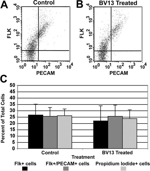 Figure 5. VE-cadherin antibody-mediated blood vessel disassembly does not involve alteration of mesodermal or endothelial subpopulations. (A-B) Representative FACS profiles of cells isolated from control and BV13-treated (24 μg IgG/mL) 8.5-dpc cultured allantoides, respectively. (C) A graphic compilation of the FACS data from 4 experiments comparing control versus BV13-treated cultures. Together these analyses show no significant changes in the Flk1+ (angioblasts; filled bars), Flk1+/PECAM+ (endothelial cells; dark gray bars), or propidium iodide+ (dead cells; light gray bars) cell populations in BV13-treated allantois cultures as compared to control cultures. Error bars indicate the standard deviation of the mean.