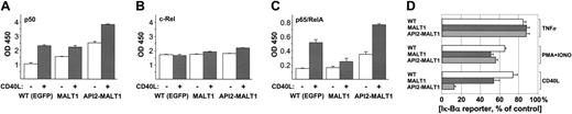 Figure 3. Constitutive and CD40-stimulated NF-κB activation in BJAB cells expressing MALT1 or API2-MALT1. BJAB cells transfected with pMSCV-IRES-EGFP vector alone or single clones transfected with vector carrying MALT1 or API2-MALT1 were untreated (□) or treated with 0.1 μg/mL cross-linked CD40L for 4 hours (▦). Two micrograms of nuclear protein extracts from each cell line was used in an ELISA assay measuring (A) p50, (B) c-Rel, and (C) p65/RelA subunits of NF-κB. The results represent triplicates of 1 of 3 representative experiments. (D) Enhanced NF-κB activation by API2-MALT1 and MALT1 upon CD40L but not PMA/ionomycin (PMA + IONO) or TNFα stimulation. BJAB cells expressing IκBα reporter only (WT; □) or reporter with MALT1 (▦) or API2-MALT1 (▧) were untreated or treated for 4 hours with TNFα, PMA/ionomycin, or cross-linked CD40L. Lysates were used in a luciferase assay to measure the amount of exogenous IκBα-luciferase, inversely related to the activity of IKK. Each bar represents the reporter level as a percentage normalized to the corresponding untreated cells. Values are obtained from triplicates of one of several representative experiments. Error bars indicate the standard deviations obtained from triplicate samples. The experiment is representative of several independent experiments.