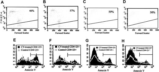 Figure 3. Effect of CY on apoptosis in CD4+25+TREGs and CD4+25- cells. (A-B) TUNEL staining of CD4+25+ cells. Two days after the intraperitoneal administration of 2 mg CY, spleen cells were removed, and CD4+25+ cells were separated by magnetic bead separation and fluorescence-activated cell sorting (FACS). CD4+25+ cells from treated or control mice were incubated with bound anti-CD3, and TUNEL staining was performed after 24 hours in culture. (A) CD4+25+ cells from untreated control mice. (B) CD4+25+ cells from CY-treated mice. Data are representative of 2 separate experiments. (C-D) TUNEL staining of CD4+25- cells. Two days after the intraperitoneal administration of 2 mg CY, spleen cells were removed, and CD4+25- cells were separated by magnetic bead separation and FACS. CD4+25- cells from treated or control mice were incubated with bound anti-CD3 and after 24 hours in culture, TUNEL staining was performed. (C) CD4+25- cells from untreated control mice. (D) CD4+25- cells from CY-treated mice. Data are representative of 2 separate experiments. Percentages in panels A-D indicate the percent of apoptotic cells. (E-F) Annexin V staining of CD4+25+ cells. Two days after the intraperitoneal administration of 2 mg CY, spleen and LN cells were removed. Freshly isolated cells were stained for cell surface markers, and Annexin V staining was performed on the samples. (E) Annexin V profile of CD4+25+ LN cells from CY-treated mice (black solid histogram) compared with CD4+25+ LN cells from control mice (gray line histogram). (F) Annexin V profile of CD4+25+ spleen cells from CY-treated mice (black solid histogram) compared with CD4+25+ spleen cells from control mice (gray line histogram). (G-H) Annexin V staining of CD4+25- cells. Two days after the intraperitoneal administration of 2 mg CY, spleen and LN cells were removed. Freshly isolated cells were stained for cell surface markers, and Annexin V staining was performed on the samples. (G) Annexin V profile of CD4+25- LN cells from CY-treated mice (black solid histogram) compared with CD4+25- LN cells from control mice (gray line histogram). (H) Annexin V profile of CD4+25- spleen cells from CY-treated mice (black solid histogram) compared with CD4+25- spleen cells from control mice (gray line histogram). Horizontal bars in panels E and H are gates indicating what percent of cells are positive for apoptotic cells.