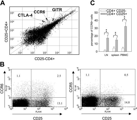 Figure 1. CCR6 expression of CD25+CD4+ T cells. (A) Gene array analysis of CD25+CD4+ and CD25-CD4+ lymph node cells. mRNA expression levels are shown for preparations derived from CD4+CD25- and CD4+CD25+ lymphocyte populations (via MACS) isolated from SJL/J mice. Diagonal lines indicate 3-fold overexpression; dots representing CTLA-4, GITR, and CCR6 are indicated by arrows. (B) Comparison of CCR5 and CCR6 expression on CD4+ lymph node cells. Cells from lymph nodes of naive BALB/c mice were triple-stained with antibodies directed against CD4, CD25, and either CCR6 (left panel) or CCR5 (right panel) and analyzed by FACS. The dot plots represent cells gated on CD4 expression. The numbers in each quadrant indicate the percentage of cells within the CD4+ population. One of 3 independent experiments with cells pooled from 2 to 5 animals is shown. (C) Relative fraction of CCR6+CD4+ T cells in lymph nodes, spleens, and PBMCs. Percentage of cells was determined by FACS analysis with cells from naive mice as described for Figure 1B. □ represents the percentage of CCR6+ cells within the population of CD4+CD25- T cells; ▦, their fraction within the population of CD4+CD25+ T cells. Plot shows mean values from 7 to 9 independent experiments, P values are represented by asterisks (**P < .01) and were calculated according to the Student t test.