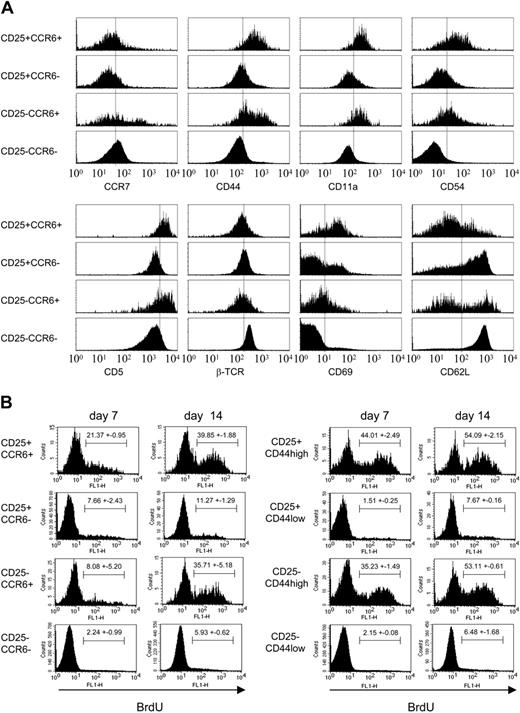 Figure 3. CCR6+ Treg cells exhibit the phenotype of effector-memory T cells and have a high turnover rate in vivo. (A) Phenotypic characterization. Lymph node cells of naive mice were stained with αCD4, αCD25, and αCCR6 together with antibodies or fusion proteins, directed either against CCR7, CD44, CD11a, CD54, CD5, βTCR, CD69, or CD62L. Histograms are shown for the 4 subsets of CD25+CCR6+, CD25+CCR6-, CD25-CCR6+, and CD25-CCR6-CD4+ T cells and were generated by gating on the respective markers. Staining for CCR7 was carried out using a CCL19-Ig-fusion protein. Vertical bars are inserted as reference for relative shifts. One of 4 independent experiments each with cells pooled from 2 to 6 animals is shown. (B) In vivo turnover rate. FACS analysis of lymph node cells is shown for populations stained with αCCR6 (left panels) or αCD44 (right panels). Proliferating cells were labeled by providing BrdU with the drinking water for a period of 7 days (left columns) or 14 days (right columns). Cells were analyzed by FACS immediately after this period. Histograms of the BrdU-specific staining shown are gated on CD4+ cells. The percentages of BrdU+ cells are indicated. One of 2 independent experiments is shown.