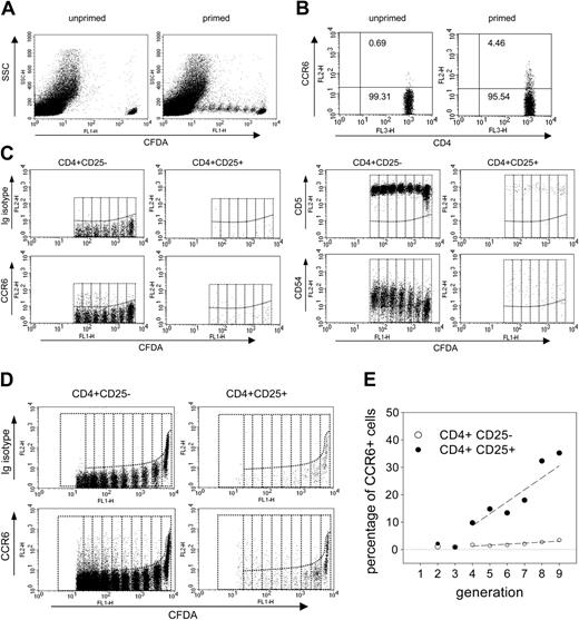 Figure 4. CCR6+CD25+ T cells are generated in vivo after activation of CCR6-CD4+ T cells. FACS analysis is shown for CFDA-labeled CD4+ T cells. CD4+ T cells were isolated from TCR transgenic mice and depleted of CCR6+ cells by MACS. The CCR6-CD4+ cells were then labeled with CFDA and adoptively transferred into syngenic hosts. Two different model systems were used, based either on the recognition of MBP Ac1-11 (donor, TG4; recipient, B10.PL; A-C) or of OVA323-339 (donor, DO11.10; recipient, BALB/c; D-E). T cells were activated by priming with the respective peptide antigen and lymph node cells were analyzed 9 days later by FACS. (A) Antigen-specific induction of proliferation by TG4 T cells. Dot plots of the CFDA staining versus side scatter (SSC) are shown for lymph node cells of B10.PL mice that received CFDA-labeled CCR6-CD4+ T cells from TG4 mice. The cells were analyzed 9 days after transfer and derived either from primed mice (right panel) or from unprimed control mice (left panel). (B) Induction of CCR6 expression. Dot plots are gated on CD4+ cells and exclude all CFDA- cells so that they represent only transferred TG4 T cells. Staining of CD4 versus CCR6 is shown for cells isolated on day 9 from primed mice (right panel) or from nonprimed control mice (left panel). Numbers represent the percentages of CCR6+ and CCR6- cells of the respective populations. (C) Delayed expression of CCR6. Lymph node cells isolated on day 9 from peptide primed mice were stained with αCD4, αCD25, and αCCR6. The dot plots show CFDA+ CD4+ cells after staining with an isotype control or antibodies specific for CCR6, CD5, or CD54. Staining is shown for the population gated on CD4+CD25- (left panels) and CD4+CD25+ (right panels). Vertical lines separate daughter generations of dividing cells. One of 4 independent experiments is shown. (D) Induction of CCR6 expression in adoptively transferred DO11.10 T cells. Cells were isolated 9 days after the priming of BALB/c mice that previously received CFDA-labeled CCR6-CD4+ T cells from DO11.10. Staining is shown for CFDA versus isotype control (upper panels) or CCR6 (lower panels). Dot plots represent the CFDA+ populations gated on CD25-CD4+ cells (left panels) and on CD25+CD4+ cells (right panels). (E) Fraction of CCR6+ cells in dividing T cells after in vivo priming. The plot represents the relative fraction of CCR6+ T cells in the daughter generations of dividing CD25-CD4+ T cells (○) and CD25+CD4+ T cells (•). The plot is generated from the data shown in panel D; dashed lines represent trend lines. One of 2 independent experiments is shown. More than 106 CD4+ T cells were analyzed in each experiment.