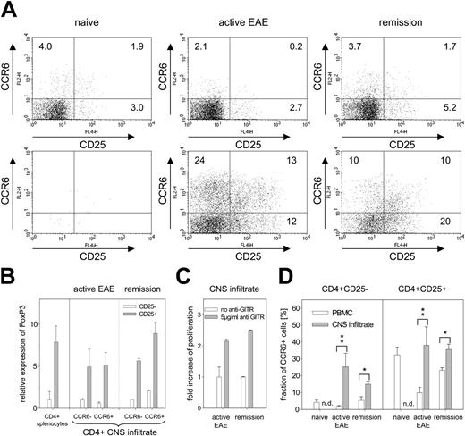 Figure 6. Accumulation of CCR6+ T cells in the CNS infiltrate during the course of EAE. (A) FACS analysis of cell surface markers CD25 and CCR6 on CD4+ T-cell populations of PBMCs and CNS infiltrate. Lymphocytes of the peripheral blood (top row) and of the CNS infiltrate (bottom row) were stained with antibodies directed against CD4, CD25, and CCR6. Samples were taken from naive mice (left panels), from mice that developed active EAE with a clinical score of 4 (middle panels), or from mice that surpassed the state of active EAE and already reached remission (score 0; right panels). Dot plots are shown for the populations gated on CD4+ cells and display surface staining of CD25 versus CCR6. Numbers represent the percentages of CD4+ cells in each quadrant. One of 4 independent experiments is shown. (B) FoxP3 expression. mRNA expression is shown for FACS populations isolated from the CNS infiltrate of mice with active EAE and from mice in remission. Expression was determined by real-time RT-PCR and is shown for the CCR6- and CCR6+ subsets of CD25-CD4+ T cells (□) and of CD25+CD4+ T cells (▦). Relative expression is shown in reference to the expression level of the CD25-CCR6- subset. Expression of CD25-CD4+ and CD25+CD4+ splenocytes derived from naive mice are shown as control. Each experiment contained RNA from cells obtained by FACS that were pooled from 9 to 10 mice per group. (C) GITR-mediated abrogation of suppressor activity in CNS infiltrates. CNS-infiltrating lymphocytes isolated from mice with active EAE (score 4) and from mice in remission (score 0) were stimulated with anti-CD3 in the absence (□) or presence of anti-GITR (▦). Proliferation was determined after addition of 3H-thymidine and is expressed as fold increase of the proliferation detected in the absence of anti-GITR. One of 2 independent experiments is shown each with cells from 3 to 5 mice per group. (D) Percentage of CCR6+CD25- and CCR6+CD25+ cells in blood and CNS infiltrate. Bars indicate percentage of CCR6+ cells of the CD25-CD4+ and the CD25+CD4+ subset within the PBMCs (□) or the CNS infiltrate (▦). P values are represented by asterisks (single asterisk, P < .05; double asterisk, P < .01) and were calculated according to the Student t test.