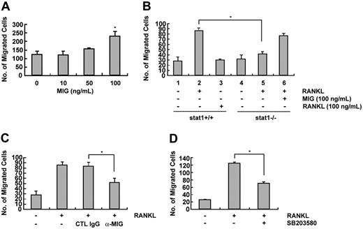 Figure 8. Effect of MIG on the migration of TRAP-positive osteoclasts. (A) Osteoclast precursors were cultured in the presence 50 ng/mL M-CSF plus 100 ng/mL RANKL for 60 to 72 hours. Cells were washed with PBS, suspended in serum-free α-MEM, and loaded to the upper well of transwell chambers. The lower well contained serum-free medium with the indicated concentration of MIG. After 6 to 8 hours, cells migrated onto the lower well were fixed and stained with hematoxylin. *Significant difference from the medium control (P < .01). (B) Conditioned media were obtained from wild-type and STAT1-deficient osteoclast precursors incubated with RANKL for 24 to 30 hours. Conditioned medium was added to the lower well, and osteoclasts were loaded to the upper well. After 6 to 8 hours, cells that had migrated to the lower well were counted. *Significant difference between the indicated groups (P < .01). (C) The lower well of transwell chambers contained conditioned medium from RANKL-treated cells and either a MIG neutralizing antibody or the control immunoglobulin G (IgG). Migrated cells were counted as described. *Significant difference between the indicated groups (P < .01). (D) Conditioned media were obtained from osteoclast precursors treated for 24 hours with 100 ng/mL RANKL in the presence or absence of SB203580. Osteoclasts were added to the upper well and were allowed to migrate toward the conditioned medium added to the lower well. Migrated cells were scored after 8-hour incubation. *Significant difference between the indicated groups (P < .01).
