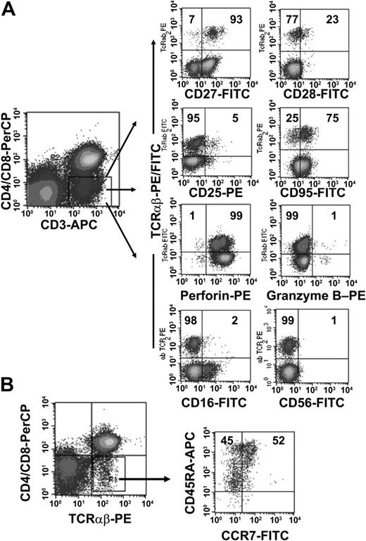 Figure 2. Phenotypic analyses of freshly isolated peripheral TCRαβ+ DN T cells. PBMCs from healthy donors were stained with anti–CD3-APC, anti–CD4-PerCP, anti–CD8-PerCP, and anti–TCRαβ mAbs and combinations of mAbs against surface Ag and intracellular proteins. (A) Cells were gated for CD3+ CD4-CD8- DN T cells. The right 8 dot plots show staining with FITC/PE-conjugated anti-TCRαβ+ mAbs and FITC/PE-conjugated mAbs against CD27, CD28, CD25, CD95, CD16, CD56, and intracellular proteins (granzyme B, perforin). (B) CCR7/CD45RA phenotype of TCRαβ+ DN T cells. Numbers in the quadrants are the percentages of TCRαβ+ DN T cells with the corresponding phenotype. Representative data from one of 10 healthy donors are shown.
