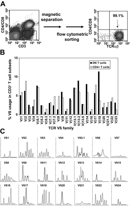 Figure 3. Purification of TCRαβ+ DN T cells via magnetic beads and flow cytometric sorting and TCR Vβ repertoire of purified DN T cells. (A) Purification of TCRαβ+ DN T cells using a Dynabeads-based depletion system to eliminate CD4+, CD8+, CD14+, CD19+, and CD56+ cells, as well as flow cytometric sorting with anti-TCRαβ, anti-CD4, and anti-CD8 mAbs. (B) Comparative analysis of the TCR Vβ repertoire of purified DN and CD4+ T cells. (C) Total RNA from sorted DN T cells was extracted, reverse transcribed, and amplified by reverse transcription-PCR (RT-PCR) using Vβ primers. Amplified cDNA was copied with a fluorescent Cβ primer in a run-off reaction and subjected to electrophoresis on an automated sequencer. The patterns obtained show the size in amino acids of the CDR3 region (x-axis) and the relative fluorescence intensity (y-axis) of in-frame Vβ-Cβ amplification products.