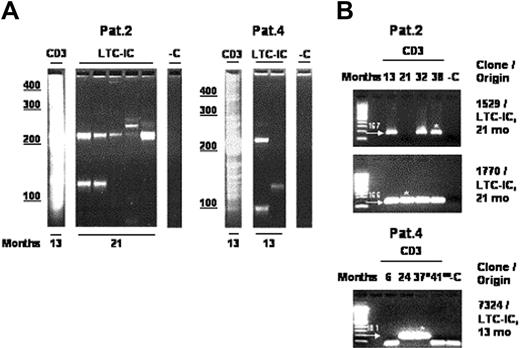 Figure 4. Multipotent transduced progenitors capable of self-renewal contribute to hematopoiesis. (A) LAM-PCR analysis of LTC-IC–derived colonies. From 0.01 to 1 ng of DNA directly isolated from LTC-IC–derived colonies was analyzed, sequenced, and aligned to the human genome. Numbers denote months after reinfusion; CD3, T cells; LTC-IC, long-term culture-initiating cell–derived colonies; -C, water control. (B) Follow-up tracking of LTC-IC–derived myeloid insertion sites in T cells. Genomic flanking primers were designed for 6 individual LTC-IC–derived retroviral integration sites (Table 1). Three LTC-IC–derived insertion sites (P2: clones 1529 and 1770; P4: clone 7324) could be identified in highly purified T cells (1 to 200 ng) over time at time points of up to 8 months prior to the bone marrow aspiration from which the LTC-IC assays were performed, demonstrating that these clones generated mature lymphocytes a long time before generating LTC-ICs and indicating that human CD34+ cells with self-renewal capacity have been transduced and have long-term activity in this clinical study. Note that the additional bands in size below 100 bp detected in PCR tracking specific for clone 7324 have been sequenced and correspond to primer multimers. Arrows with numbers denote position and size of specific PCR amplicons in base pairs. Months indicates months after gene therapy; *, sequenced; °, after chemotherapy; °°, after allotransplantation; CD3, T cells; LTC-IC, long-term culture-initiating cells; -C, 1.0 μg nontransduced human leukocyte DNA was used as a negative control; first lane, 100-bp ladder.