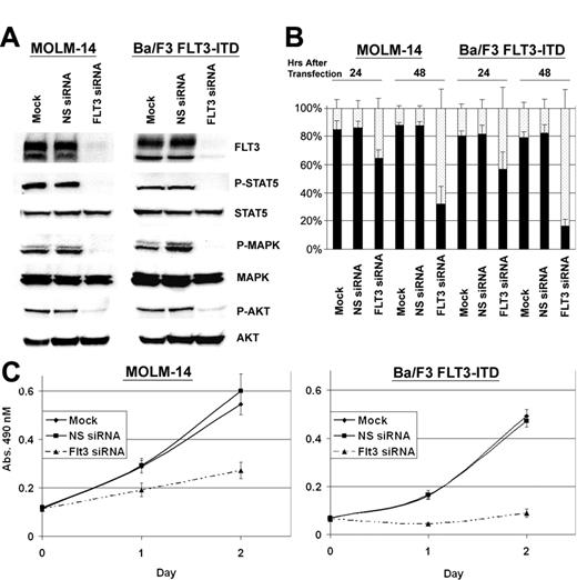 Figure 1. Electroporation of Molm-14 cells and Ba/F3 FLT3-ITD transfectants with FLT3 siRNA results in down-regulation of FLT3, decreased activation of downstream signaling molecules, and induction of apoptosis. (A) siRNA-induced silencing of FLT3 was assessed by immunoblot of whole cell lysates 24 hours after siRNA transfection. RNAi-induced down-regulation of FLT3 also resulted in decreased phosphorylation of STAT5, MAPkinase, and Akt in both Ba/F3 FLT3-ITD transfectants and Molm-14 cells. NS indicates nonspecific. (B) Ba/F3 FLT3-ITD transfectants and Molm-14 cells demonstrate an increase in apoptosis (annexin/PI-positive cells indicated by ▦; viable cells indicated by ▪) over time when treated with FLT3 siRNA (n = 3 ± SE). (C) Treatment of Ba/F3 FLT3-ITD transfectants and Molm-14 cells (n = 5 ± SE) with FLT3-specific siRNA (▴) results in an overall decrease of proliferation (n = 8 ± SE). indicates mock; ▪, nonspecific siRNA.