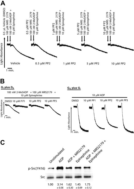 Figure 4. The effect of Src family tyrosine kinase inhibition on platelet aggregation caused by the simultaneous stimulation of Gi and Gz pathways. (A) Platelets were preincubated at 37°C with DMSO (vehicle) or varying doses of PP2 for10 minutes prior to the stimulation of the platelets. Platelets were stimulated with 100 nM 2-MeSADP plus 100 μM MRS 2179 (Gi signaling), 10 μM epinephrine (Gz signaling), or a combination of both agonists, as noted. MRS2179 (100 μM) was added 1 minute prior to platelet stimulation. (B) Washed human platelets were preincubated at 37°C with DMSO (vehicle) or with 10 μM PP1, 10 μM PP2, or 10 μM PP3 for 10 minutes prior to the stimulation of the platelets. Platelets were stimulated with 100 nM 2-MeSADP, 10 μM epinephrine, or a combination of both agonists, as noted. MRS2179 (100 μM) was added 1 minute prior to platelet stimulation. ADP (10 μM) was added for simultaneous stimulation of Gq and Gi pathways. All aggregation tracings were performed in the presence of 1 mg/mL fibrinogen. Tracings are representative of results obtained from 3 donors and 3 separate experiments. (C) Washed, aspirin-treated platelets (2 × 108 platelets/mL) were stimulated as noted in “Materials and methods.” Chemiluminescence was measured on membranes that were probed with an anti–phospho-Src416 antibody for measurement of Src kinase activity. The intensity of the bands was first calculated as a ratio of phosphorylated-to-total Src in each lane. Then the ratios from 3 independent experiments were normalized to the control, taken as 1, and expressed as fold increase in other lanes (mean ± SEM). The blot shown is representative of 3 independent experiments.