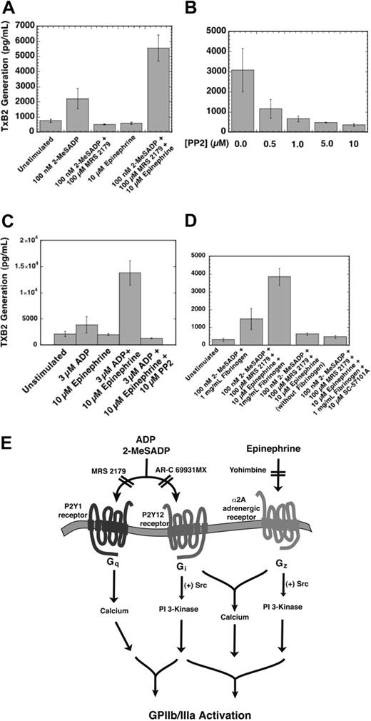 Figure 7. The effect of combined Gi and Gz signaling on thromboxane generation in human and mouse platelets. (A) Thromboxane B2 (TxB2) was generated from washed human platelets in the presence of 1 mg/mL fibrinogen and stopped after 3.5 minutes of stimulation. Levels of TxB2 were obtained using a 96-well competitive ELISA kit as noted in the “Materials and methods” section. (B) Samples were preincubated with varying doses of PP2 for 10 minutes at 37°C and then stimulated with combined Gi and Gz signaling. (C) The effect of combined Gi and Gz stimulation on thromboxane generation in P2Y1-deficient mouse platelets. Where noted, samples were preincubated with 10 μM PP2 for 10 minutes at 37°C. (D) The effect of GPIIb/IIIa antagonism on thromboxane generation induced by combined P2Y12 and α2A adrenergic stimulation. The GPIIb/IIIa antagonist, 10 μM SC57101A, was added 1 minute prior to the addition of agonists (where noted). Similarly, 1 mg/mL fibrinogen was added to samples 1 minute prior to stimulation (where noted). In A-D, the bars are representative of the average thromboxane A2 generated (± standard error) from 3 different donors on 3 days of experiments. (E) Final model depicting Gi- and Gz-induced platelet aggregation. The agonists 2-MeSADP and ADP both activate the P2Y1 and P2Y12 receptors. MRS2179 and AR-C 69931MX antagonize the P2Y1 and P2Y12 receptors, respectively (noted by hatch marks). Epinephrine is an agonist for the α2A adrenergic receptor and is blocked by the antagonist yohimbine. The combined signaling through the P2Y12 and α2A adrenergic receptors mediates Src family tyrosine kinase activity, which modulates integrin activation.