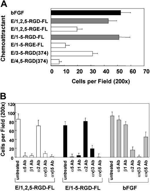 Figure 4. CD97 is a chemoattractant for HUVECs. (A) CD97-stimulated HUVEC chemotaxis is RGD-dependent and requires at least 3 EGF repeats. Wild-type, RGE mutants, and EGF-like domain deletion fragments were used as chemoattractants in a HUVEC migration assay. Basic fibroblast growth factor (bFGF) was used as a positive control. (B) HUVEC migration to CD97 involves α5β1, αvβ3, and αvβ5 integrins. HUVECs were treated with 20 μg/mL of various function-blocking anti-integrin monoclonal antibodies before being placed into the migration chamber. Results shown are representative of at least 10 replicates. Data show mean number of cells per ×200 microscopic field plus or minus SEM.