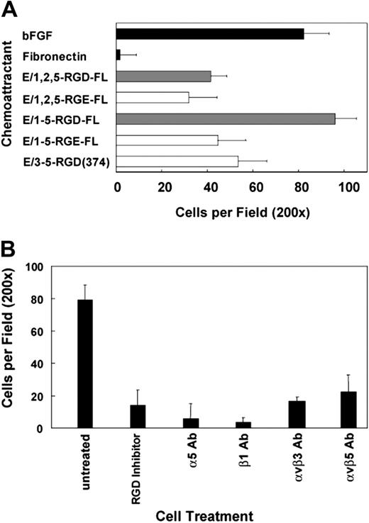 Figure 5. The 5 EGF-like isoform of CD97 stimulates invasion. (A) E/1-5-RGD-FL is a potent chemoattractant for HUVEC invasion through Matrigel. The use of RGD to RGE mutants demonstrates that an intact RGD sequence in CD97 contributes to maximal stimulation of HUVEC migration through Matrigel. All 5 EGF repeats are also necessary. Basic FGF was used as a positive control. (B) α5β1, αvβ3, and αvβ5 integrins play a role in HUVEC invasion to E/1-5-RGD-FL. Cells were treated with integrin function-blocking antibodies for 30 minutes before being added to the invasion chamber. Alternatively, cells were treated with 300 μM RGD peptide inhibitor for 30 minutes before initiation of the invasion assay. Results shown are representative of at least 10 replicates. Data show mean number of cells per ×200 microscopic field plus or minus SEM.