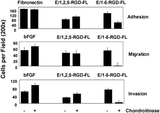 Figure 6. Chondroitinase treatment inhibits adhesion, migration, and invasion of HUVECs to the 5 EGF (E/1-5-RGD-FL) but not the 3 EGF (E/1,2,5-RGD-FL) splice variant of CD97. Assays were designed as outlined in previous figures. Cells were left untreated or exposed to 150 mU/mL chondroitinase ABC (Sigma-Aldrich, Saint Louis, MO) for 30 minutes at 37°C before being loaded into the assay system. Results shown are representative of at least 5 replicates. Data show mean number of cells per ×200 microscopic field plus or minus SEM.