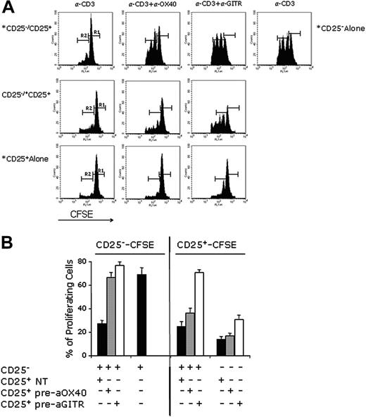 Figure 3. Anti-GITR mAb but not anti-OX40 mAb induces the proliferation of CD4+CD25+ T reg's. (A) CD4+CD25- cells (1 × 105) cultured with CD4+CD25+ (5 × 104) cells were stimulated with 1 μg/mL of anti-CD3 and ACs (1 × 105) and seeded in a 96-well plate in triplicates. After 66 hours, the triplicates were pooled and analyzed by flow cytometry. Where indicated, CD4+CD25+ cells were preincubated with anti-OX40 or anti-GITR mAbs (both at 30 μg/mL), washed twice, and added to the CD4+CD25- cells. *CFSE-labeled cells in the coculture. R1 indicates nondividing cells, whereas R2 indicates proliferating cells. The same experiment in panel A was repeated 4 times and the results, expressed as percentage of proliferating cells (R2), were pooled and reported in panel B. In the left part of panel B is reported the percentage (±SD) of CFSE-labeled CD25- proliferating T cells in the presence or absence of CD25+ T cells left untreated or pretreated with anti-OX40 or anti-GITR mAbs, as indicated. In the right part of panel B is reported the percentage of proliferating CFSE-labeled CD25+ T cells. After labeling with CFSE, CD25+ T cells were left untreated (NT) or were preincubated with anti-OX40 or anti-GITR mAbs, and were washed twice before seeding in the presence or absence of CD25- T cells, as indicated.