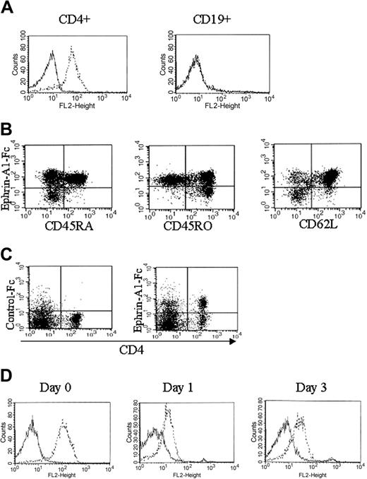 Figure 1. Ephrin-A1 binds to CD4+ lymphocytes. (A) Binding of control-Fc (—) and ephrin-A1-Fc (- - -) to peripheral blood isolated CD4+ T cells (CD4+) or CD19+ B cells (CD19+). No binding is observed to CD19+ B cells. (B) Costaining of peripheral blood CD4+ T cells with ephrin-A1-Fc and either CD45RA, CD45RO, or CD62L. The ephrin-A1 nonbinding cells are CD45RO+ and CD62L-. (C) Costaining of control-Fc or ephrin-A1-Fc with anti-CD4 on a total tonsil cell preparation. (D) Binding of control-Fc (—) or ephrin-A1-Fc (- - -) to peripheral blood CD4+ T cells stimulated with anti-CD3/CD28 (day 1, day 3). Day 0 indicates freshly isolated cells.