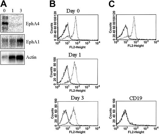 Figure 2. EphA1 and EphA4 are expressed in CD4+ T cells. (A) Expression of EphA4 and EphA1 mRNA by Northern blot analysis of peripheral blood CD4+ T cells (0 indicates freshly isolated) and after CD3/CD28 stimulation (1 indicates day 1; and 3, day 3). Control gene hybridization with an actin probe. (B) EphA1 cell surface expression on peripheral blood CD4+ T cells (Day 0), after CD3/CD28 stimulation (Day 1, Day 3), or on peripheral blood CD19+ B cells (CD19+). Anti-EphA1 (- - -), isotype specific control antibody (—). No binding is observed to CD19+ B cells. (C) Specificity of the anti-EphA1 antibody was shown by the loss of cell surface binding after preincubating the antibody with the extracellular part of recombinant EphA1 (EphA1-Fc). Peripheral blood CD4+ T cells were stained. (- - -) EphA1 expression, (—) EphA1 expression after preincubation of the anti-EphA1 antibody with EphA1-Fc before cell surface staining.