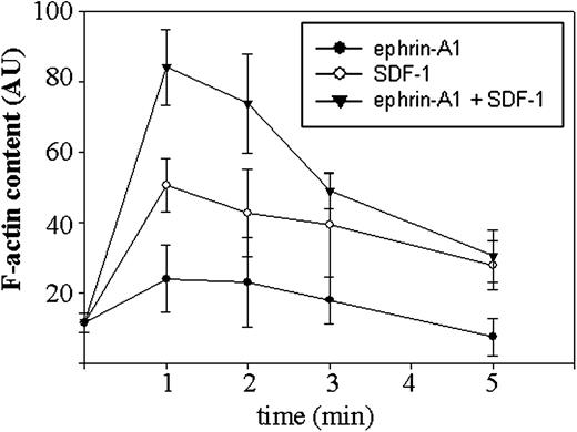 Figure 7. Ephrin-A1 induces actin polymerization. CD4+ T cells were incubated with ephrin-A1 (•), SDF-1α (○), or the combination of ephrin-A1 and SDF-1α (▾) for the indicated times. The cells were then fixed, permeabilized, and stained with rhodamine-phalloidin for analysis by flow cytometry. SEM is shown for 4 different experiments.