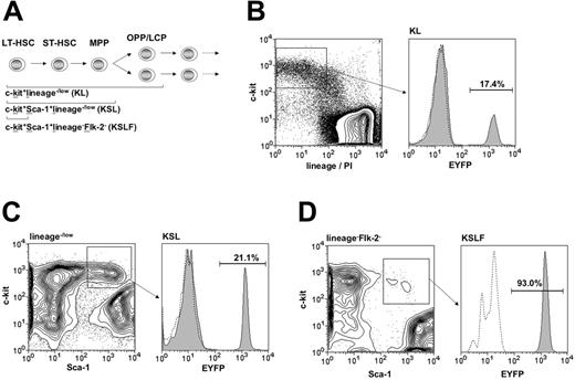 Figure 2. Targeting within hematopoietic progenitor subsets. (A) Diagram of the hierarchical structure of early hematopoietic progenitor populations and the combination of surface markers used for their identification. HSC-SCL-Cre-ERT;R26R-EYFP mice and controls were injected with tamoxifen for 2 weeks (2 mg per day), and bone marrow analysis was carried out 2.5 weeks after the last tamoxifen injection. The percentages of EYFP-positive cells within (B) the c-kit+lineage–/low (KL) (SD ± 3.0%), (C) the c-kit+Sca-1+lineage–/low (KSL) (SD ± 3.9%), and (D) the c-kit+Sca-1+ lineage–Flk-2– (KSLF) (SD ± 9.7%) populations were determined by flow cytometry. The highest degree of Cre-mediated recombination was detected within the c-kit+Sca-1+lineage–Flk-2– population and was significantly lower in the c-kit+Sca-1+ lineage–/low and c-kit+lin–/low populations, respectively. Representative plots are shown for each population and the indicated percentages represent means (n = 5). Dashed lines represent negative controls. OPP, oligopotent progenitors; LCP, lineage-committed progenitors; lin, lineage; PI, propidium iodide.
