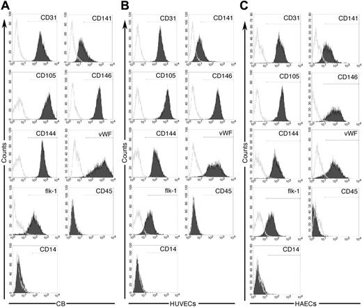 Figure 1. Immunophenotypic analysis of cord blood EPC-derived endothelial cells, HUVECs, and HAECs. Immunophenotyping of cell monolayers derived from cord blood EPCs (A), umbilical veins (B), or human aortas (C) by fluorescence cytometry. Cord blood EPC-derived ECs, HUVECs, and HAECs express CD31, CD141, CD105, CD146, CD144, VWF, and Flk-1 but do not express CD45 and CD14. Shown are representative data from 5 independent experiments using 5 different cord blood EC monolayers, 5 different HUVEC samples, and 5 different HAEC samples with similar results. Isotype controls are overlaid in white on each histogram for each surface antigen tested.