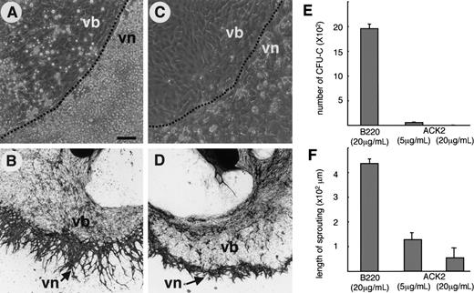Figure 2. Suppression of hematopoiesis inhibits vascular network formation of ECs in P-Sp culture system. (A-D) P-Sp explants were cultured on OP9 stromal cells in the presence of anti-B220 mAb (20 μg/mL) as a control (A-B) or anti–c-Kit neutralizing antibody, ACK2 (20 μg/mL) (C-D), and the development of HCs and ECs was observed. (A,C) Phase contrast view of P-Sp cultures. The dotted line shows the presumptive border between the vascular bed (vb) and the vascular network area (vn). (B,D) PECAM-1 staining of culture plates after 10 days of culture. Bar in panel A indicates 50 μm (A,C). Original magnification, ×4 (B,D). (E) Total number of CFU-c's observed in the P-Sp culture system in the presence of anti-B220 mAb (20 μg/mL) or ACK2 (5 or 20 μg/mL). Results are expressed as the mean number of CFU-c's in 3 experiments (± SEM). (F) Length of elongated ECs (sprouting) from the vb. Results are expressed as mean length at 10 random points. Standard deviations are indicated.