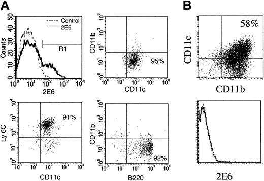 Figure 1. Ab reactivity with cultured bone marrow cells and freshly isolated spleen cells. (A) The 2E6+ cells are compatible with pDCs. Bone marrow cells from BALB/c mice were cultured in the presence of Flt-3L for 10 days to generate pDCs in vitro. Cells were then stained with 2E6, CD11c, CD11b, B220, and Ly6C. Profiles showed 2E6+ gate (R1). (B) The 2E6 does not express on myeloid DCs. Bone marrow cells from BALB/c mice were cultured in the presence of GM-CSF for 10 days and then stained with CD11b, CD11c, and 2E6 Ab. At day 10, the majority of the cells (58%) became CD11b+CD11c+ myeloid DCs. Percentages in quadrants indicate the percentage of positive cells in that quadrant.