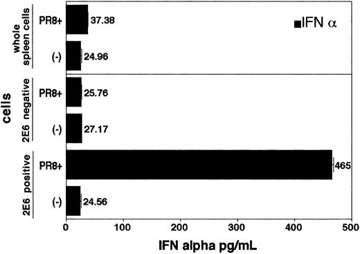 Figure 3. The 2E6+ cells from spleen produce large amount of IFN-α upon influenza virus (strain PR8) stimulation. Spleen cells were stained with biotinylated 2E6 mAb followed by avidin-conjugated magnet beads. The 2E6+ and 2E6– cells were separated using Auto MACS. Each group (2E6+, 2E6–, whole spleen cells) was plated onto 96-well round-bottom plates (5 × 104 cells/well). Experiments were performed in triplicate. Then, either medium alone or influenza virus PR8 were added to the wells to a total volume of 200 μL and incubated at 37°C for 24 hours. IFN-α in supernatants was measured by ELISA. Values represent mean ± SD from triplicate samples.