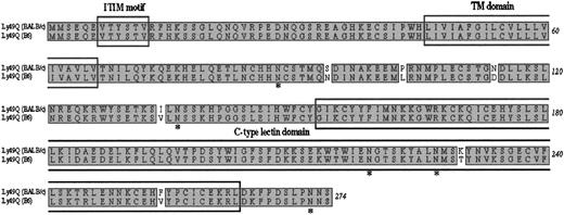 Figure 4. Amino acid sequence alignment of the type II C-type lectin Ly49Q18 derived from either BALB/c or C57/B6. There is a difference of 6 amino acids between the 2 strains. Ly49Q belongs to the Ly49 family that has a CRD in the extracellular domain and an ITIM in the intercellular domain. *Potential N-linked glycosylation sites in the putative extracellular domain. TM indicates transmembrane.