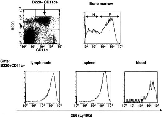 Figure 6. Ly49Q– pDCs exist in bone marrow but not in peripheral lymphoid organs. Cells were harvested from various lymphoid organs (bone marrow, spleen, lymph nodes, and peripheral blood lymphocytes) and then depleted of CD3+, CD19+, CD11b+, and DX5+ cells by Auto MACS. Next, negatively selected cells were stained with B220, CD11c, and 2E6 Abs. B220+CD11c+ cells were gated and analyzed for 2E6 expression. N indicates 2E6–;P,2E6+.