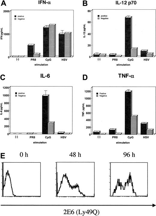 Figure 7. Differential cytokine production in 2 subsets of pDCs. (A-D) After depletion of CD3+, CD19+, CD11b+, and DX5+ cells from BALB/c bone marrow, cells were stained with B220, CD11c, and 2E6 Abs. The 2E6+ (▪) or 2E6– (▦) cells were sorted within the gate of B220+CD11c+ cells and then 4 × 104 cells/well of each group were plated onto 96-well round-bottom plates. These cells were variously stimulated (influenza virus PR8, CpG-ODN, or HSV) at 37°C for 24 hours, then supernatants of IFN-α, TNF-α, IL-6, and IL-12p70 were measured by ELISA. Experiments were performed at least 3 times with similar results. Values represent the mean ± SD from triplicate samples. (E) 2E6– pDCs acquire the expression of Ly49Q. Sorted 2E6– pDCs derived from bone marrow were cultured in the presence of Flt-3L (100 ng/mL) for 0, 2, and 4 days. Cells were then stained with 2E6 mAb and analyzed by FACS.