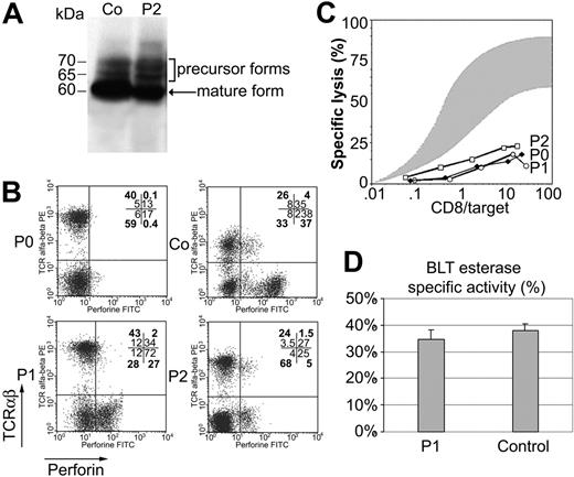 Figure 4. Perforin maturation, expression, cytotoxicity, and granule exocytosis assays using PBMCs from patients and controls. (A) Lysates were prepared from PHA blast lymphocytes from patient 2 (P2) and control subject (Co). Perforin was detected by immunoblotting with 2d4-perforin antibody under nonreducing conditions. One band corresponding to the mature form of perforin is seen in both subjects. (B) Perforin expression in the PBMCs of patients 1 (P1) and 2 (P2) compared with control PBMCs (Co) and PBMCs from a patient with a nonsense mutation in the perforin gene (P0); percent of gated cells in heavy type and MFI in normal type are indicated in each quadrant. (C) Cytotoxic activity of T lymphocytes from the 3 patients with a perforin defect (P1, P2, and P0) is defective compared with that of T cells from 20 age-matched controls (shaded area). The effector-to–target cell ratio (x-axis) reflects the ratio of CD8+ T cells to target cells. Results are expressed as percentage of specific lysis (y-axis) as measured by 51Cr release. (D) Secretion of granzyme A into the cell culture supernatant of CD3-activated CD8+ T cells from P1 and Co was measured to quantify granule exocytosis. Cell supernatants were assayed by enzyme-linked immunosorbent assay (ELISA) for serine esterase. Data are expressed as the mean percentage ± SD specific release (test/total release) for triplicate samples.
