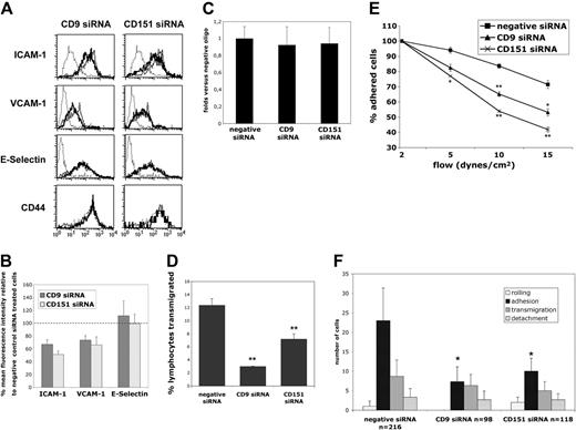 Figure 3. Tetraspanin interference affects ICAM-1 and VCAM-1 expression and function. (A) Flow cytometry analysis of the expression of adhesion molecules ICAM-1 (HU5/3), VCAM-1 (P8B1), E-Selectin (TEA2/1), and CD44 (HP2/9) in tetraspanin siRNA-treated HUVECs. TNF-α–activated negative siRNA-treated cells are shown in thin lines. Thick lines correspond to the expression in TNF-α–activated tetraspanin siRNA-transfected cells. Expression of the different adhesion molecules in resting cells is shown in dotted lines. The histograms are depicted in a logarithmic scale. (B) Quantitative analysis of the mean fluorescence intensity of ICAM-1, VCAM-1, and E-selectin in TNF-α–activated tetraspanin siRNA-transfected cells. Data represent the mean of 2 independent experiments ±SD as the percentage of the expression referred to that of TNF-α–activated negative control siRNA-transfected cells. (C) Analysis of the adhesion of PBLs to tetraspanin-interfered cells under static conditions. PBLs were loaded with BCECF-AM (2′,7′-bis(2-carboxyethyl)-5(6)-carboxyfluorescein acetoxymethyl ester) fluorescent probe and allowed to adhere in serum-free medium on confluent TNF-α–activated HUVEC monolayers for 15 minutes at 37°C. After washing, the percentage of adhesion was quantified in a fluorimeter and depicted as the mean ±SD with respect to the adhesion levels of the negative siRNA-transfected cells in 3 different experiments performed in triplicate. (D) siRNA-transfected HUVEC monolayers were seeded onto Transwell insets and activated with 20 ng/mL of TNF-α for 20 hours. Then, human peripheral blood lymphocytes were added to the upper compartment and SDF-1α–containing medium (100 ng/mL) was added to the lower compartment. Cells were allowed to migrate for 2 hours and analyzed by flow cytometry. Data represent the mean ±SD of a representative experiment performed in triplicate. **P < .005 in a Student t test. (E) Tetraspanin interference augments PBL detachment under shear stress. The percentage (mean ±SD) of remaining adherent cells is represented for the different flow rates in 4 fields of a representative experiment. ▪ indicates negative siRNA; ▴, CD9 siRNA; and ×, CD151 siRNA. *P < .02; **P < .005 in a Student t test. (F) Effect of tetraspanin siRNA on lymphocyte adhesion and transmigration under flow conditions. Activated endothelium transfected with specific siRNA oligos for tetraspanins CD9 or CD151 or the negative control oligonucleotide were activated with TNF-α. Thereafter, PBLs were allowed to adhere and transmigrate under physiologic flow conditions (1.8 dyn/cm2) for 10 min. Quantification of rolling, adhesion, transmigration, and detachment events was performed from minute 3.5 to minute 6.5 of perfusion. Values correspond to the arithmetic mean ±SEM of the total number of PBLs interacting with the endothelial monolayer in the 6 different fields analyzed (× 20 objective) from a representative experiment. The total number of PBLs (n) interacting with the HUVEC monolayer in each condition is depicted in the legend of the x-axis. *P < .02 in a Student t test.