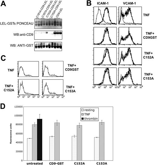 Figure 4. Characterization of the soluble peptide CD9-LEL-GST and its mutants. (A) LEL-GST fusion proteins of human CD9, as well as point mutations to Ala of Cys 152, 153, 167, and 181 were generated, produced in bacterial cultures, and isolated by affinity columns of Glutathione-Sepharose. Eluted purified proteins were then analyzed by Ponceau staining and Western blot against CD9 (VJ1/20 mAb) or GST. (B) Flow cytometry analysis of the expression of ICAM-1 and VCAM-1 in HUVECs preincubated with CD9-GST or its point mutants. Thin lines in the upper panels correspond to the expression of resting cells. Thin lines on the following panels correspond to cells treated with TNF-α alone. Thick lines correspond to the expression in cells treated for 20 hours with TNF-α alone (top row) or in combination with the different soluble LEL-GST peptides. (C) Propidium iodide profiles of cells treated for 20 hours with TNF-α alone or in combination with the different soluble LEL-GST peptides. (D) Paracellular permeability analysis of HUVEC monolayers preincubated with the different soluble LEL-GST peptides. Thrombin was added at 0.1 U/mL at the time of addition of the fluorescent dextran. Data represent the mean ±SD of a representative experiment performed in duplicate.