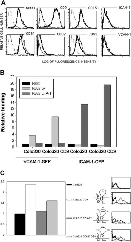 Figure 6. Enhanced ICAM-1 and VCAM-1 adhesive function requires an appropriate tetraspanin environment. (A) Flow cytometry analysis of the expression of β1 integrin (TS2/16 mAb), tetraspanins (anti-CD9 VJ1/20, anti-CD151 LIA1/1, anti-CD81 I.33.2.2, anti-CD82 TS82, and anti-CD63 TEA3/18 mAbs), ICAM-1 (HU5/3), and VCAM-1 (P8B1) in Colo320 cells (thin lines) or CD9 stably transfected Colo320 cell line (thick lines). Negative control PX63 is shown in dotted lines. (B) Heterotypic intercellular binding of K562 cell lines (parental and K562 α4 and K562 LFA-1 integrin transfectants) to Colo320 and Colo320CD9 cells transiently transfected with GFP-tagged versions of VCAM-1 and ICAM-1. Data are calculated as the ratio of double-positive aggregates (GFP-Colo320/CM-TMR K562) versus the nonaggregated GFP+ cells. Graph depicts the relative binding referred to the aggregation obtained with parental K562 cells (that ranged from 10% to 20% of the total GFP+ cells in the different transient transfections in the experiment shown) in a representative experiment out of 6 performed. (C) Heterotypic intercellular binding of K562α4 integrin–stable transfectant to VCAM-1–GFP transiently transfected Colo320 cells and the different chimeric clones of CD9/CD82. Data are calculated as the ratio of double–positive aggregates (GFP-Colo320/CM-TMR K562) versus the total number of GFP+ cells. Graph depicts relative binding referred to the aggregation of Colo320–VCAM-1–GFP cells in a representative experiment out of 3 (11% of the total GFP+ cells in the experiment depicted). On the right, flow cytometry analysis of the expression with anti-CD9 (10B1, which also recognizes the chimeric CD9/CD82 loop; thin lines) and CD82 (TS82; thick lines) of the different chimeric clones is shown.