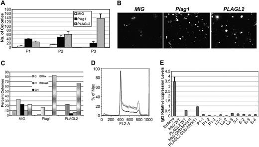 Figure 4. Plag1 and PLAGL2 increase proliferation of hematopoietic progenitor in vitro by inducing entry into S phase. (A) Serial replating (P1 to P3) of 104 Cbfb-MYH11-expressing bone marrow cells infected with MIG (□), MIG-Plag1 (▪), or MIG-PLAGL2 (▦) and cultured in methylcellulose culture for 7 days. (B) Representative images of colony morphology at day 7. (C) Lineage distribution colony-forming units (CFUs) from P1 analyzed by cytospin of individual colonies. Colony types are indicated as granulocytic (G; ▧), monocytic (M; ▥), granulocytic and monocytic (GM; ▪), mix (▦), and blast (▤). (D) Cell-cycle analysis of sorted bone marrow cells expressing Cbfb-MYH11 and MIG-Plag1 (gray line), MIG-PLAGL2 (dotted black line), or MIG (solid black line) and stained with propidium iodine. (E) The Igf2 RELs determined by quantitative PCR in E14.5 total embryo (lane 1), MIG wild-type bone marrow (lane 2), MIG-PLAGL2 wild-type bone marrow (lane 3), MIG Cbfb-MYH11 bone marrow cells (lane 4), MIG-PLAGL2 Cbfb-MYH11 bone marrow (lane 5), Plag1/Cbfb-MYH11 leukemias (lanes 6-8), PLAGL2/Cbfb-MYH11 leukemias (lanes 9-11), and leukemias not overexpressing Plag1 or PLAGL2.12-15 Values were normalized to Actb expression levels. Error bars indicate standard error from triplicate experiments.