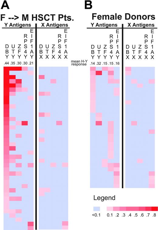 Figure 1. Quantitation of IgG antibodies specific for H-Y and H-X proteins. This heatmap depicts IgG ELISA results for 39 sex-mismatched patients (A) and 29 healthy females (B) who developed antibody responses to any H-Y or H-X recombinant protein. Individual samples are represented in rows and each H-Y or H-X protein is represented in a separate column. Negative ELISA results are shown in light blue. The magnitude of positive ELISA results are represented by increasing tones of red. Below each H-Y antigen label, the mean ELISA result for the respective seropositive samples is presented.