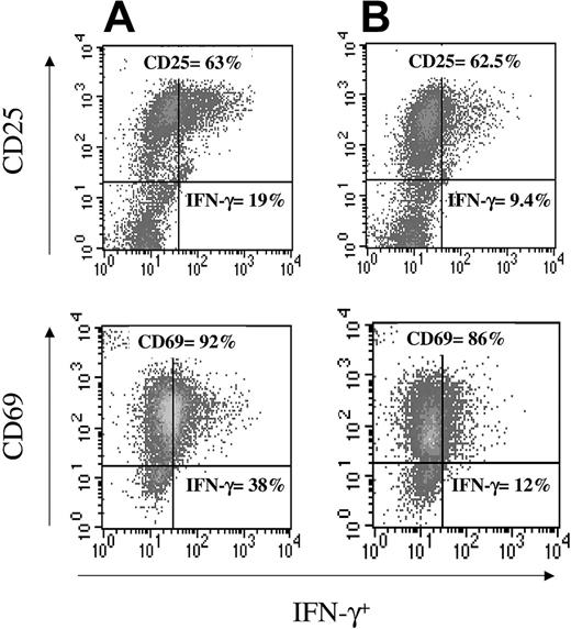 Figure 1. MSCs inhibit T-cell effector function without interfering with T-cell activation. Splenocytes from C6 mice transgenic for a Kk-restricted HY-specific T-cell receptor (TCR) (5 × 106) were stimulated for 24 hours with irradiated female syngeneic (CBA, H2k) spleen cells (5 × 106) pulsed with the cognate HY KkSmcy (TENSGKDI) peptide in the absence (A) or the presence (B) of MSCs (1 × 105). After 24 hours, CD8+ cells were analyzed for intracellular IFN-γ and for the expression of activation molecules using anti-CD25 or anti-CD69 monoclonal antibodies. For IFN-γ staining, T cells were treated with Brefeldin A for the last 4 hours of cultures. Cells were permeabilized, and the proportion of CD8+/IFN-γ+ T cells was quantified. The fluorescence-activated cell sorter (FACS) plot is representative of 1 of 6 experiments of identical design (see “Results” for mean ± SD values).