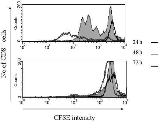 Figure 2. MSCs abrogate T-cell proliferation in response to antigen stimulation. C6 splenocytes (5 × 106) were stained with 1.7 μM CFSE and were stimulated with Kk-restricted HY peptide (HY KkSmcy)–pulsed syngeneic APCs (5 × 106) in the presence or absence of MSCs (1 × 105). After 24, 48, and 72 hours, cells were harvested and T-cell proliferation was assessed using cytofluorometry with anti-CD8 mAb and CFSE intensity. FACS profiles are gated on CD8 T cells in the absence (A) or presence (B) of MSCs. FACS plot is representative of 1 of 3 experiments of identical design.
