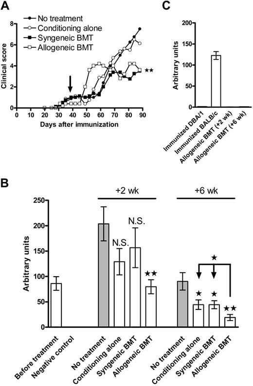 Figure 1. Allogeneic BMT can effectively treat CIA, a severe B cell-mediated autoimmune disease. (A) Allogeneic and syngeneic BMT have a suppressive effect on arthritis after nonmyeloablative conditioning (**P = .007 and **P = .001, respectively). Clinical data of arthritic DBA/1 mice (n = 8 mice per group) treated with sublethal TBI of 6.0 Gy (day 37) plus a single injection of anti-CD40L mAb (0.5 mg intraperitoneally, day 38) and subsequently injected with 1.0 × 107 total BM cells intravenously from syngeneic DBA/1 mice or fully major histocompatibility complex (MHC)-mismatched allogeneic BALB/c mice are shown (day 38; arrow indicates start of treatment). No statistical differences were observed at the time of treatment. Results from 1 of 2 experiments are shown. (B) Allogeneic BMT results in a marked decrease of pathogenic anti-type II collagen autoantibodies. Sera were taken at 2 and 6 weeks after BMT (days 52 and 81, respectively) and were tested by ELISA for the presence of anti-type II collagen antibodies (data are shown for the IgG2a isotype). Allogeneic BMT was more effective in suppressing the production of anti-type II collagen antibodies (**P < .002) than syngeneic BMT or conditioning alone (*P < .05) compared with untreated animals. Allogeneic BMT compared with syngeneic BMT and conditioning alone (*P = .02) at 6 weeks after BMT. (C) Anti-type II collagen antibodies after allogeneic BMT are of recipient origin. None of the allogeneic BMT recipients developed anti-type II collagen antibodies of the Igh-1a allotype, demonstrating that the antibodies present after allogeneic BMT are of recipient origin. As positive and negative controls for the presence of Igh-1a, we immunized normal BALB/c and DBA/1 mice, respectively, with CII. Immunized BALB/c mice were able to produce CII-specific antibodies to the same extent as immunized DBA/1 mice without the clinical symptoms of arthritis (data not shown).