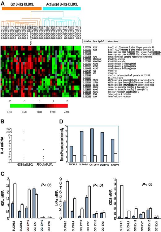 Figure 1. Differential expression of IL-4-inducible genes and IL-4 in GCB-like and ABC-like DLBCL. (A) DNA microarray analysis of IL-4-inducible genes whose expression is significantly higher in GCB-like than in ABC-like DLBCL tumors. DLBCL cases are ordered and subdivided into GCB and ABC subtypes as defined in Figure 1 of Alizadeh et al.1 Relative expression is displayed according to the color scale shown. (B) Expression of IL-4 mRNA in GCB-like (▪) and ABC-like DLBCL tumors (▴). IL-4 mRNA expression was measured using real-time RT-PCR as described in “RNA isolation, RT reaction, and real-time PCR.” (C) IL-4-induced gene expression in GCB-like and ABC-like DLBCL cell lines. Expression of IL-4-inducible HGAL, IL-4Rα, and CD23 mRNA was measured in triplicates by quantitative RT-PCR in unstimulated (▦) and IL-4-stimulated (100 U/mL, □) DLBCL cell lines, as described in “RNA isolation, RT reaction, and real-time PCR.” (D) Mean fluorescence intensity of surface IL-4Rα as examined by flow cytometry (▦) in comparison to isotype control (□) in GCB-like and ABC-like DLBCL cell lines. Error bars depict standard deviation (SD).