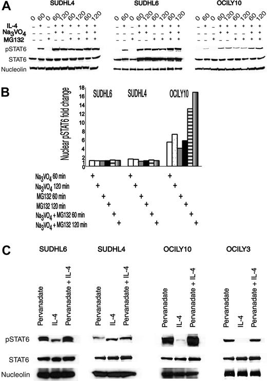 Figure 5. Effects of phosphatase inhibitors and proteasome inhibitor MG132 on nuclear pSTAT6 in GCB-like and ABC-like DLBCL. (A) GCB-like (SUDHL6 and SUDHL4) and ABC-like OCILY10 DLBCLs were stimulated with IL-4 (100 U/mL) for the indicated times with or without sodium orthovanadate (1 mM) or MG132 (30 μM) added immediately after or immediately before IL-4, respectively. Nuclear extract protein was immunoblotted with anti-pSTAT6, anti-STAT6, and antinucleolin antibodies. These experiments were repeated twice. (B) pSTAT6 densitometry measurement of the blots shown in panel A. The results shown represent a ratio of pSTAT6 densitometry at each condition to pSTAT6 densitometry of the same cell line stimulated with IL-4 alone, normalized by nucleolin densitometry to ensure equal lane loading. (C) GCB-like (SUDHL6 and SUDHL4) and ABC-like (OCILY10 and OCILY3) DLBCL cell lines were assessed for the presence of nuclear pSTAT6 following incubation with 1 mM pervanadate alone for 30 minutes, IL-4 (100 U/mL) alone for 30 minutes, or 1 mM pervanadate for 30 minutes followed by IL-4 (100 U/mL) for additional 30 minutes. Nuclear extract protein was immunoblotted with anti-pSTAT6, anti-STAT6, and antinucleolin antibodies. No actin was detected in the nuclear extracts (not shown).