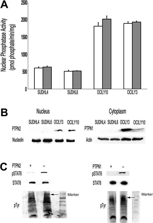 Figure 7. Protein tyrosine phosphatase activity and expression in GCB-like and ABC-like DLBCL cell lines. (A) Nuclear protein tyrosine phosphatase activity in GCB-like (SUDHL4 and SUDHL6) and ABC-like (OCILY10 and OCILY3) DLBCL cell lines. Nuclear extracts from unstimulated (□) and IL-4-stimulated (▦) cell lines were prepared and global protein tyrosine phosphatase activity was measured in triplicates as described in “Protein tyrosine phosphatase assay.” These experiments were repeated 2 times. Error bars indicate SD. (B) Nuclear and cytoplasmic extracts blotted with anti-PTPN2 and anti-PTPN1 antibodies, respectively. Equal loading was assessed by blotting for nucleolin and actin, respectively. (C) PTPN1 and PTPN2 dephosphorylation assays. Nuclear extracts prepared from the SUDHL4 cells stimulated with IL-4 (100 U/mL) were incubated with (+) and without (-) PTPN1 or PTPN2 for 10 minutes at 30°C and then separated on 10% SDS-polyacrylamide gels, transferred to a polyvinylidene difluoride membrane, and blotted with anti-pSTAT6, anti-STAT6, and anti-pTyr antibodies, as described in “Protein tyrosine phosphatase assay.” Arrows indicate predicted position of STAT6.