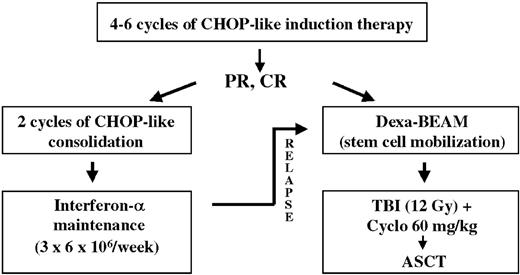Figure 1. Design of the trial