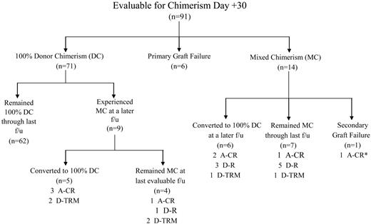 Figure 1. Outcomes of patients with MC. One other patient (not included in Figure 1 because of residual ALL on day +30) had 90% donor chimerism by DNA analysis (VNTR) and 100% donor chimerism by cytogenetic analysis. After discontinuation of immunosuppression, this patient had 95% donor chimerism and no evidence of ALL. Thus, the patient was considered evaluable for engraftment on day +100 (but not day +30). A-CR, patients alive in complete remission; A-R, alive in relape; D-R, death due to relapse; D-TRM, death due to transplant-related mortality; f/u, follow-up. *Patient who remained MC on day +100 and then experienced secondary graft failure after day +100. This patient had CML and underwent a sex-mismatched transplant. The routine cytogentics showed 46 XX and the fluorescent in situ hybridization (FISH) and reverse transcriptase-polymerase chain reaction (RT-PCR) for bcr/abl were negative following the secondary graft failure.