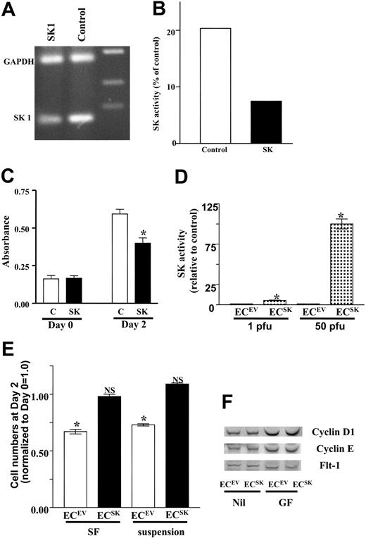 Figure 1. SK promotes endothelial cell survival. (A) Levels of mRNA for SK as measured by RT-PCR. HUVECs were transfected with siRNA for SK (SK1) or control nonsilencing siRNA (C). The results from 1 experiment representative of 3 performed. (B) Levels of SK activity in 1 experiment of 3 performed and (panel C) cell survival after siRNA treatment (as given in panel A) measured by MTS at time of plating and after 2 days. The absorbance at 490 nM reflects the number of viable cells. □ represents control; ▪, SK. The mean ± SEM of quadruplicate determinations from 1 experiment representative of 3 performed. *P less than 0.05 compared with C. (D) SK activity in HUVECs infected with 1 pfu/cell or 50 pfu/cell of adenoviral supernatant carrying SK or control EV are shown as the composite analysis of 2 separate endothelial cell lines assayed in duplicate and normalized to control. *P less than .001 SK compared with EV at equivalent pfu/cell. Bars represent 95% confidence intervals. (E) The survival of ECsSK (▪) or ECsEV (□) as reflected by the optical density at 490 nm in the absence of fetal calf serum (SF) and in the absence of both fetal calf serum and attachment to extracellular matrix (suspension). The SF data represent the pooled data of 43 observations derived from 9 separate experiments, and the suspension data show the pooled data of 10 observations from 2 separate experiments. The cell number at day 2 normalized to day 0 = 1 is given. *P less than .001 compared with ECsEVat day 0. NS indicates no significant difference compared with ECsSK at day 0. Bars represent 95% confidence intervals. (F) Cyclin D1 and E expression by Western blot under unstimulated conditions (Nil) and after stimulation with growth factor (GF) for 24 hours. The membrane was counter-blotted with antibody to fetal liver tyrosine kinase 1 (Flt-1) as a loading control.