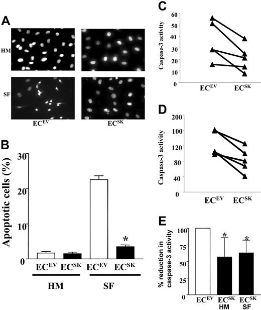 Figure 2. SK prevents EC apoptosis. (A) DAPI stain performed on ECsSK and ECsEV in culture medium supplemented with 20% FCS (HUVE medium; HM) or SF medium. (B) Quantification of 5 consecutive microscopic fields to a total cell count of 100 from 2 separate experiments. Bars represent SEM. *P less than .001 compared with ECsEV under SF conditions. (C) Caspase-3 activity in ECsSK and ECsEV in 5 separate endothelial cell lines measured under basal culture conditions (HM) or (D) after 24 hours of serum deprivation. Panel E shows the pooled data from the 5 endothelial cell lines. Bars represent 95% confidence intervals. *P less than .05 for ECsSK under basal or serum-free conditions compared with corresponding ECsEV, normalized to 100.