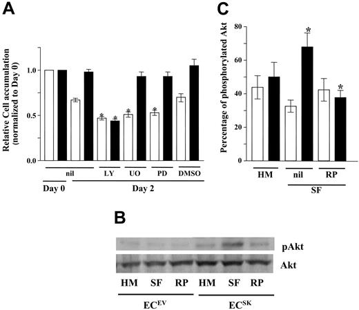 Figure 6. Inhibition of the PI-3K/Akt pathway blocks SK-induced cell survival. ECsSK (▪) and ECsEV (□) were treated with 10 mM LY294002 (LY) to block the PI-3K/Akt pathway and 20 mM UO126 (UO) or 20 mM PD98059 (PD) to block the MAPK pathway. A vehicle control of equivalent concentration of dimethyl sulfoxide (DMSO) is indicated. The figure shows cell survival by the pooled data of 8 observations from 2 separate experiments, adjusted to day 0 = 1. Bars represent 95% confidence intervals. *P less than .001 compared with corresponding untreated cells overexpressing SK or EV at day 2. (B) Western blot measuring phosphorylated Akt (p-Akt) and total Akt in basal conditions (HM) and after 6 hours of serum deprivation (SF) in ECsSK and ECsEV. The effect of 20 μg/mL of rabbit polyclonal anti–PECAM-1 antibody (RP) added at plating under SF conditions is shown. (C) The pooled data of the quantification of phosphorylated Akt compared with total Akt from 4 separate experiments performed as in panel B for ECsSK (▪) and ECsEV (□). Bars represent SEM. *P less than .05 of untreated ECsSK versus ECsSK treated with RP.