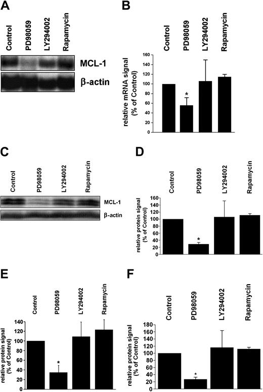 Figure 3. Effects of pharmacologic inhibitors on MCL-1 expression in CML cells. (A,B) Primary CML cells (n = 3) were incubated with PD98059 (50 μM), LY294002 (20 μM), rapamycin (20 nM), or control medium (control) for 12 hours. After incubation, RNA was isolated and subjected to Northern blot analysis using an mcl-1-specific cDNA probe. Panel A shows a representative experiment and panel B a densitometric evaluation of mcl-1 mRNA expression (relative to β-actin loading control); results are given as percent of control (untreated cells). (C,D) Western blot analysis of primary CML cells after incubation with inhibitors (same type and dose as in panel A) for 24 hours. Panel C shows a representative experiment and panel D a densitometric evaluation of MCL-1 protein expression (relative to β-actin). Results represent the mean ± SD from the 3 donors and are given as percent of control (ie, untreated cells). (E,F) Western blot analysis (densitometry corrected for β-actin) of MCL-1 expression in K562 cells (E) and KU812 cells (F) after incubation with inhibitors (PD98059, 50 μM; LY294002, 20 μM; rapamycin, 20 nM) or control medium. Results are given as percent of control (ie, untreated cells) and represent the mean ± SD from 3 independent experiments in each cell line; *P < .05.